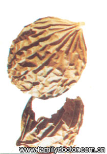 <b>FructusTrichosanthis</b>/  Fructus Trichosanthis 